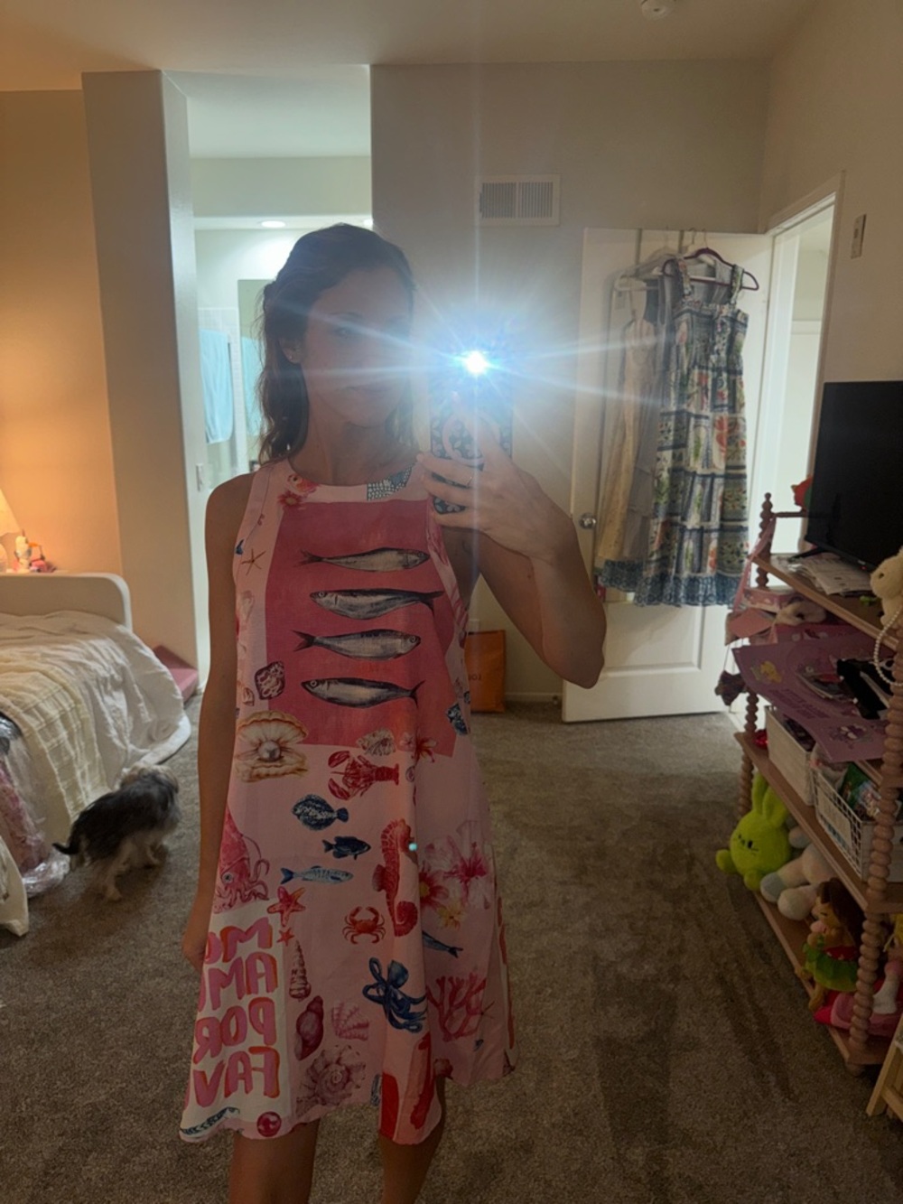 Pink Sardine Summer Dress Size Medium